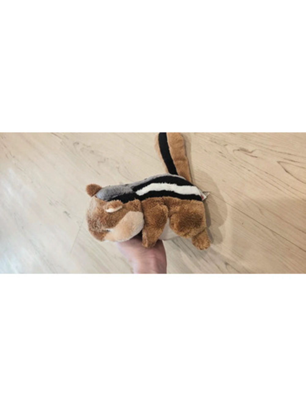 Original webkinz without the tag, chimpmunk